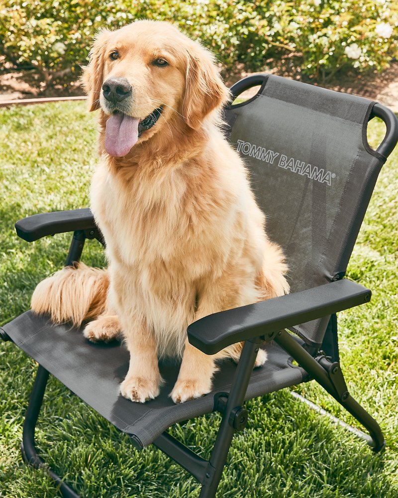 Tommy Bahama Tommy Bahama Excursion Chair