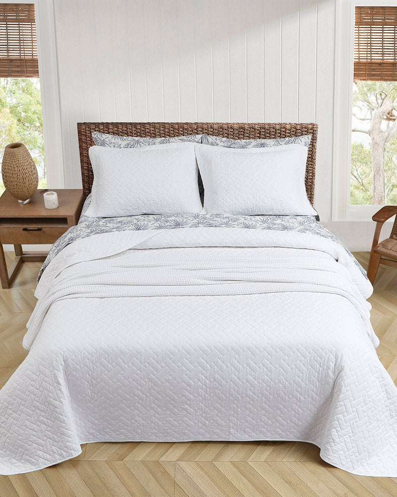 Tommy Bahama Solid King Quilt/Sham Set