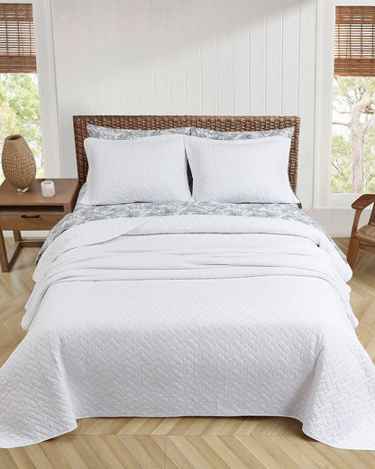 Tommy Bahama Solid King Quilt/Sham Set