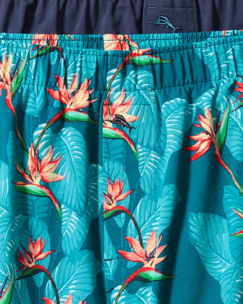 Tommy Bahama Big & Tall Tropical Print & Solid Knit Boxers—2-Pack
