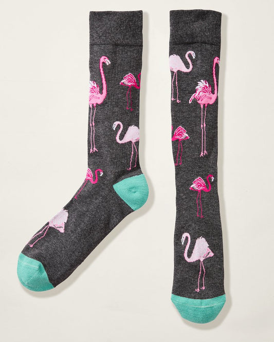 Tommy Bahama Let's Flamingle Socks