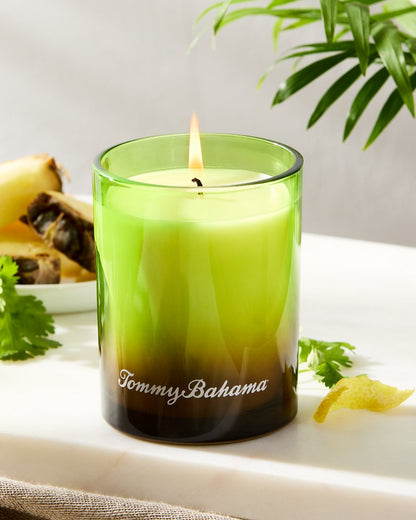Tommy Bahama Pineapple Cilantro 7.5-oz. Boxed Poured Candle